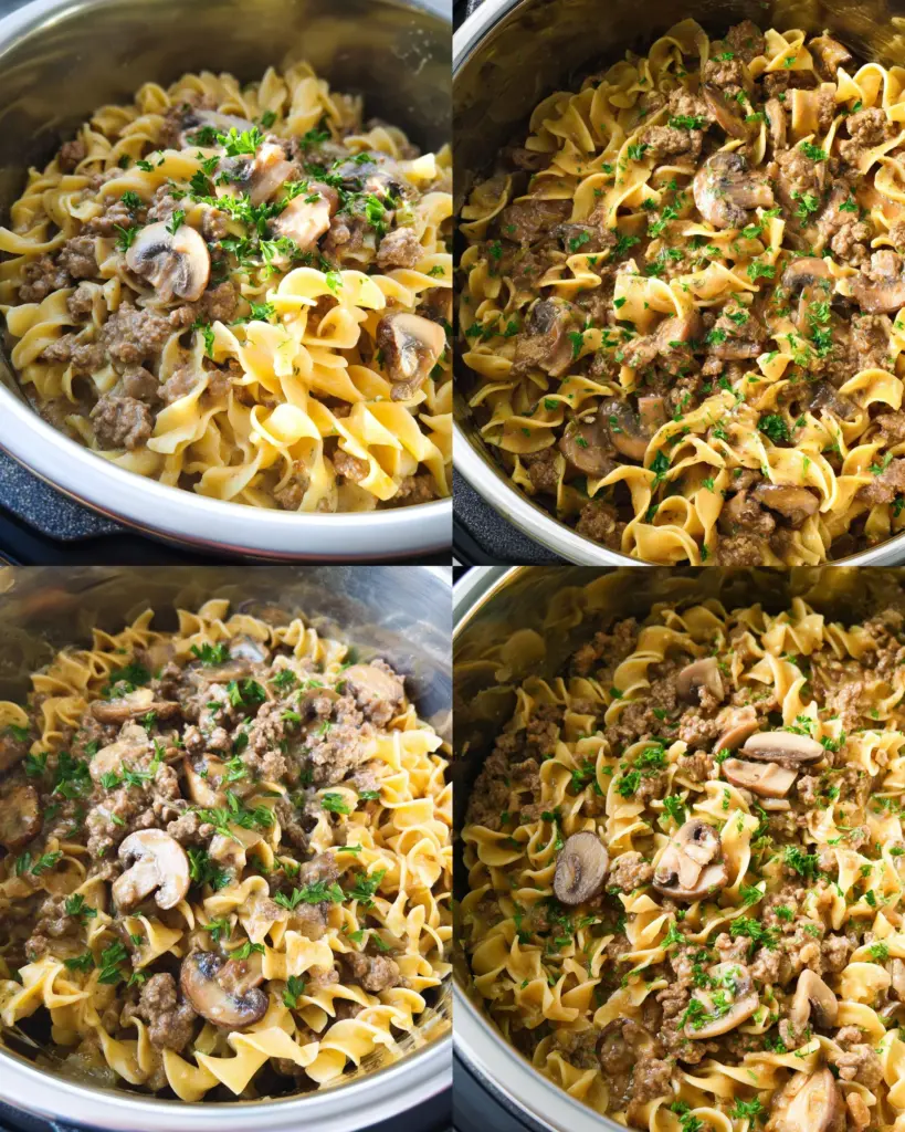 Instant Pot Beef Stroganoff