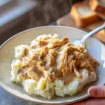 Chicken and Gravy (over mashed potatoes)